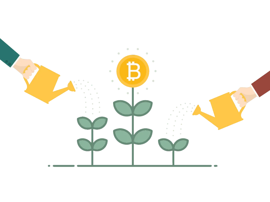 watering bitcoin plant