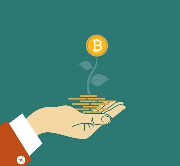 Growing bitcoin plant