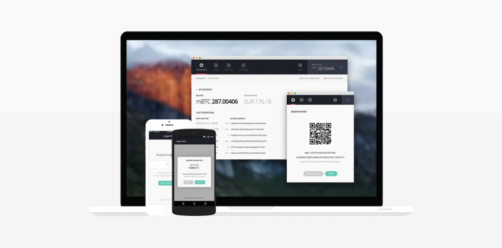 Ledger wallet interface