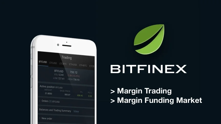 Bitfinex margin trading funding
