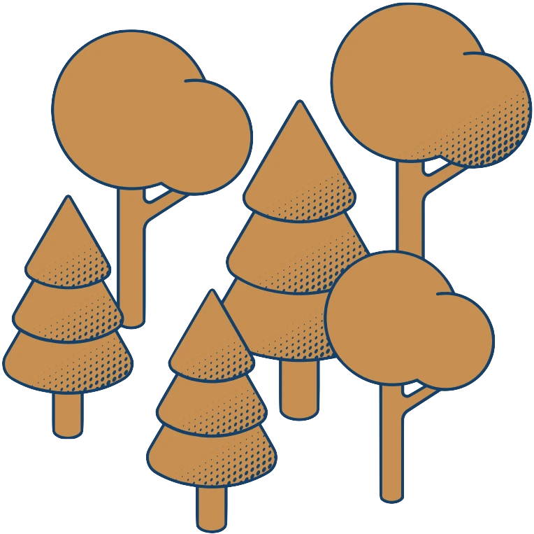 skog skog